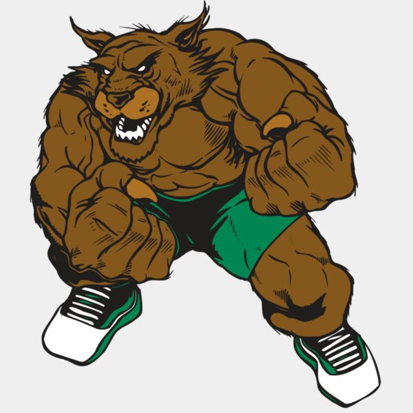 AR WILDCAT 45 RC Thumbnail