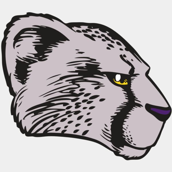 BAW CHEETAH 20 RC Thumbnail