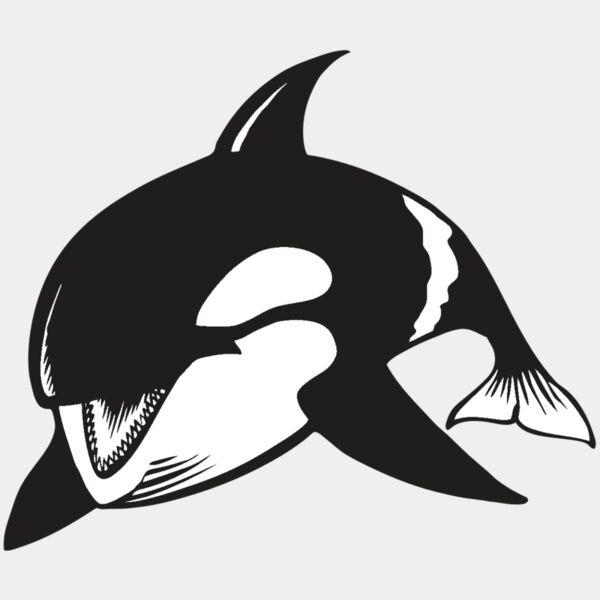 BAW KLRWHALE 04 RC Thumbnail